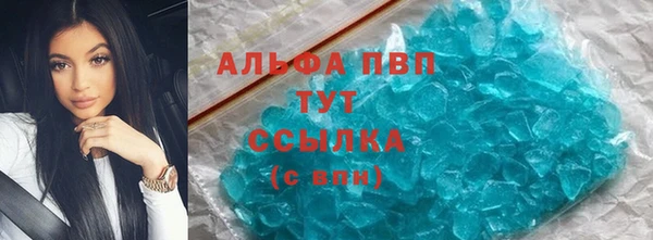 гашик Алексеевка
