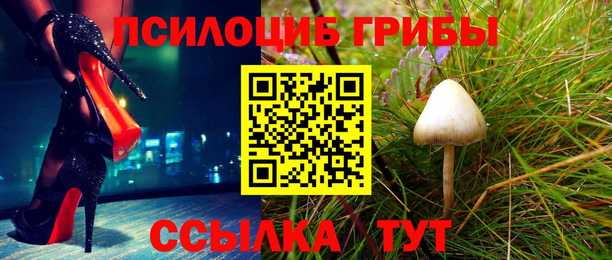 Южно-Сахалинск  Псилоцибиновые грибы Psilocybine cubensis  Вход с VPN  Псилоцибиновые грибы Psilocybine cubensis 