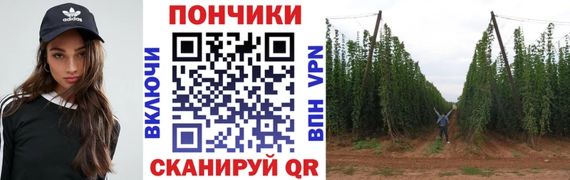 цена   Южно-Сахалинск  Каннабис SATIVA & INDICA 